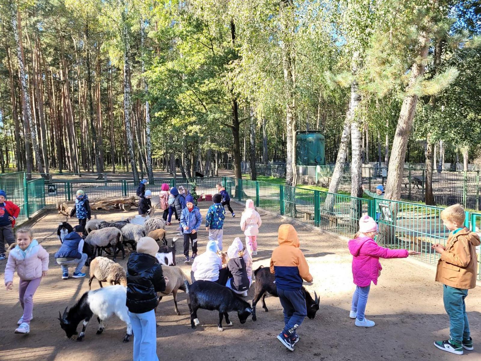 Klimatyczne - Caloroczne Holiday park